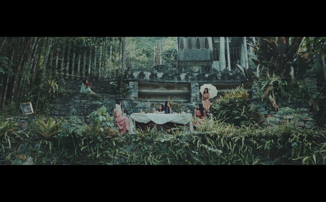 Video Reference: nature, ecosystem, screenshot, jungle, grass, forest, biome, tree, old growth forest, darkness