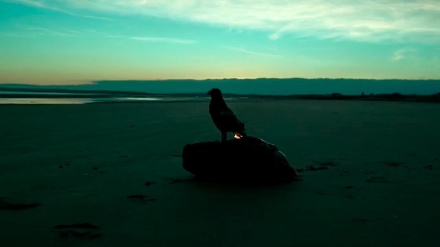Video Reference: sea, sky, water, calm, horizon, ocean, shore, sunset, evening, cloud, Person