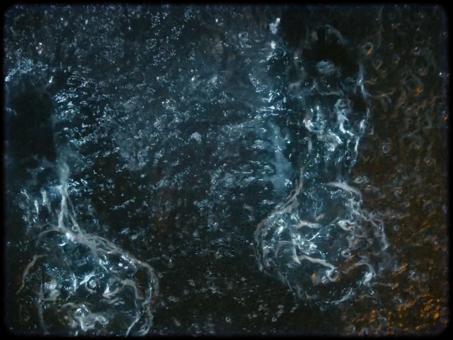 Video Reference: Water, Organism, Space, Darkness, Earth, Art, Sitting, Table, Large, Laying, Woman, Dog, Holding, Standing, Splash, Text, Swimming, Fluid, Night sky