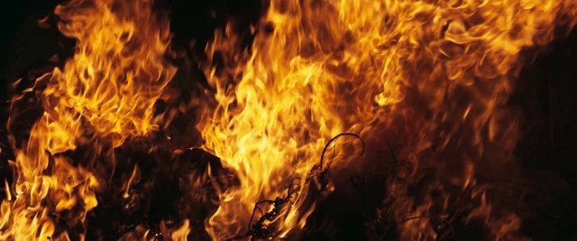 Video Reference: Flame, Fire, Heat, Wildfire, Event