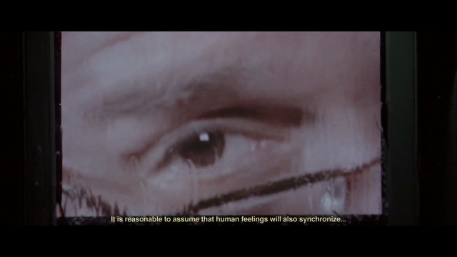 Video Reference: Eyebrow, Face, Eye, Close-up, Portrait, Iris, Organ, Eyelash, Nose, Skin
