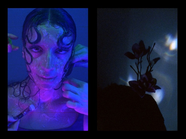 Video Reference: Light, Purple, Organism, Electric blue, Visual arts, Art, Photography, Illustration