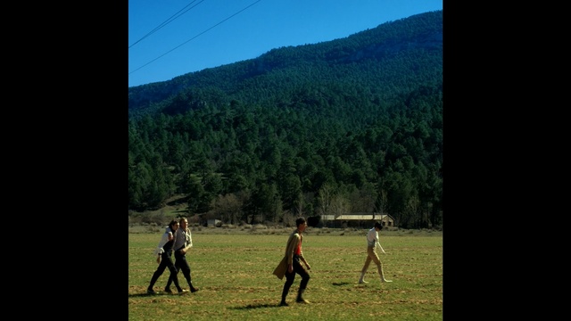 Video Reference: nature, ecosystem, sky, tree, wilderness, grassland, woody plant, grass, field, mountain