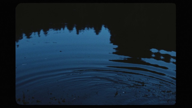 Video Reference: Blue, Water, Sky, Black, Reflection, Water resources, Calm, Cloud, Lake, Tree