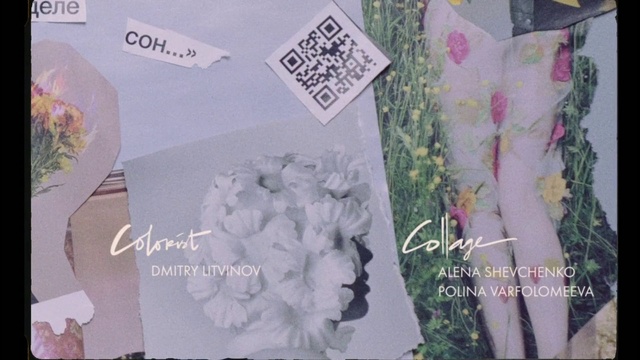 Video Reference: Pink, Text, Petal, Flower, Plant, Paper