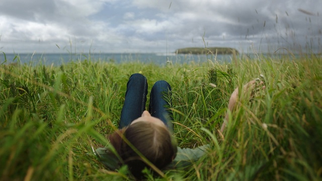 Video Reference: Grass, Sky, Grassland, Grass, Field, Meadow, Plant, Rural area, Farm, Cloud