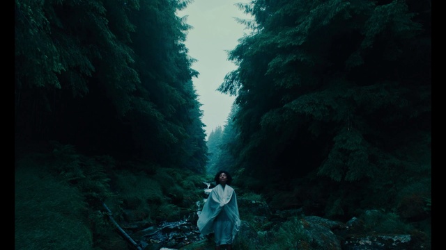 Video Reference: Green, Darkness, Water, Forest, Tree, Organism, Cave, Jungle, Photography, Rainforest