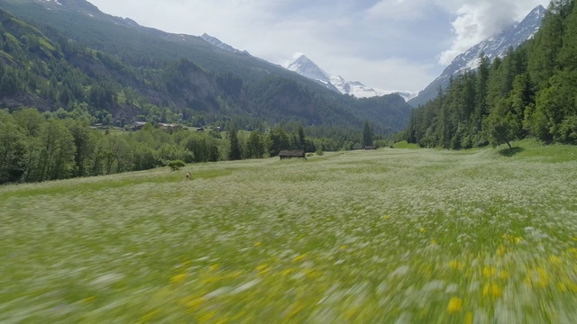 Video Reference: grassland, mountainous landforms, wilderness, ecosystem, mountain range, meadow, nature reserve, vegetation, mount scenery, mountain