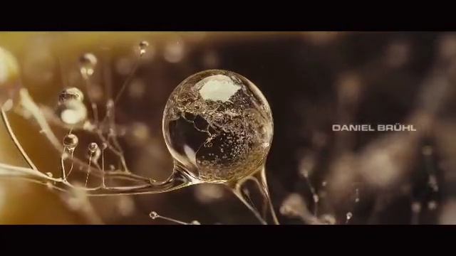 Video Reference: water, close up, macro photography, organism, moisture, computer wallpaper, stock photography
