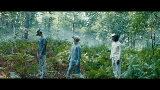 Video Reference: nature, ecosystem, forest, nature reserve, wilderness, vegetation, woodland, jungle, plant, rainforest