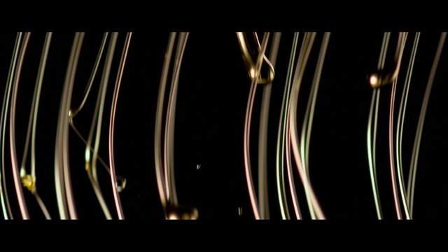 Video Reference: light, darkness, line, organism, cable, computer wallpaper, plant stem, font, night, twig