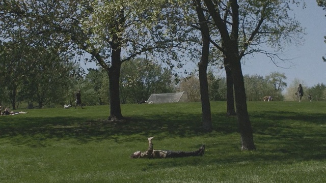 Video Reference: pasture, tree, nature reserve, grass, grassland, meadow, lawn, park, field, land lot