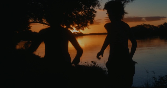 Video Reference: People in nature, Silhouette, Sky, Water, Friendship, Dusk, Fun, Tree, Human, Backlighting, Person