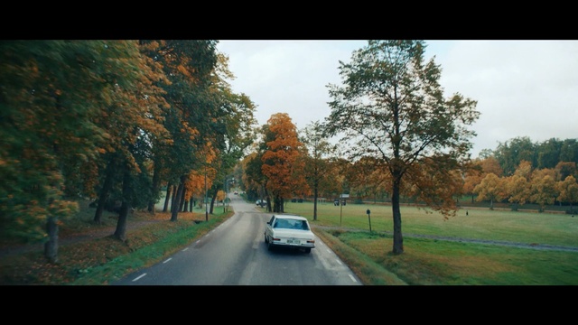 Video Reference: Tree, Nature, Road, Leaf, Sky, Autumn, Natural landscape, Mode of transport, Woody plant, Road trip