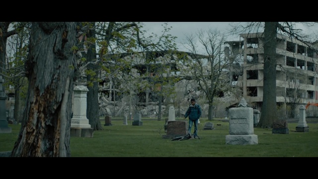 Video Reference: Nature, Tree, Cemetery, Biome, Grass, Historic site, Architecture, Woody plant, Plant, Grave, Person