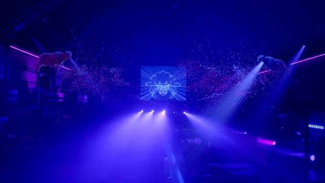Video Reference: Blue, Violet, Purple, Light, Electric blue, Lighting, Sky, Cobalt blue, Technology, Performance, Person