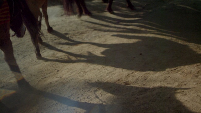 Video Reference: Shadow, Light, Tree, Wood, Sunlight, Floor, Photography, Landscape, Plant, Soil, Person