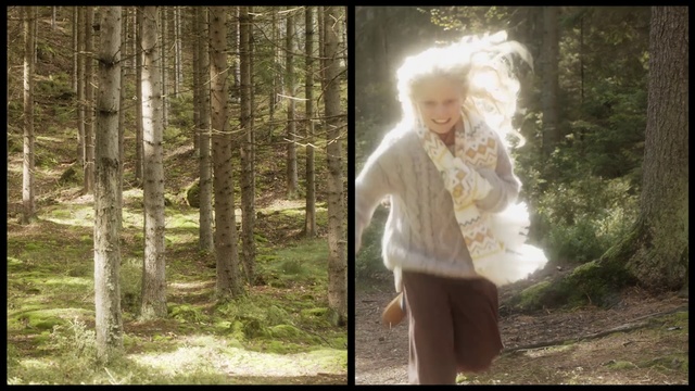 Video Reference: People in nature, Photograph, Nature, Natural environment, Lady, Forest, Tree, Blond, Beauty, Woodland