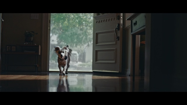 Video Reference: snapshot, screenshot, darkness, midnight, scene, Person