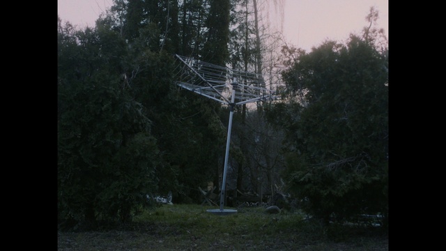 Video Reference: Nature, Tree, Atmospheric phenomenon, Forest, Biome, Overhead power line, Branch, Woody plant, Wind, Sky