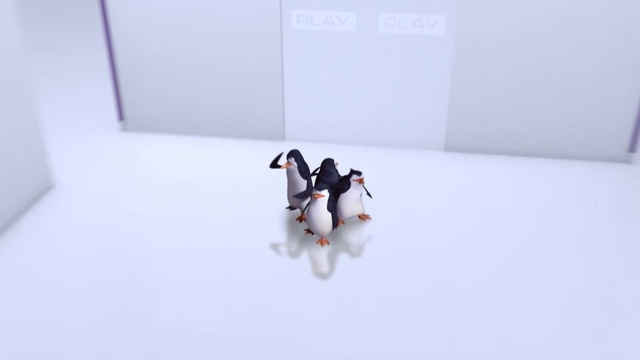 Video Reference: White, Flightless bird, Bird, Penguin