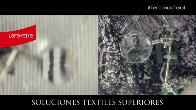 Video Reference: text, tree, organism, screenshot, font, brand, space