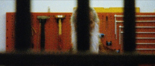 Video Reference: Font, Art, Person