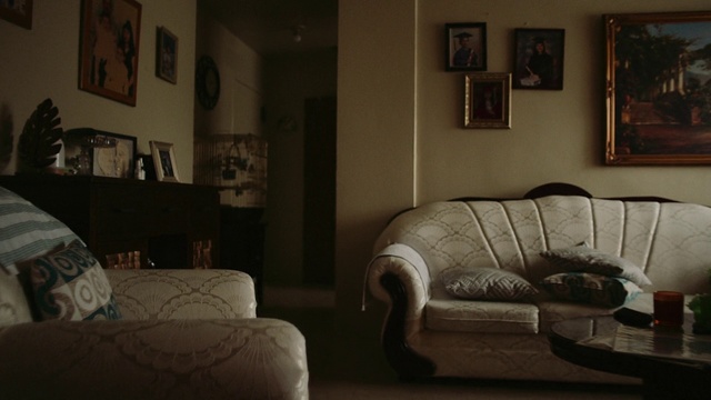 Video Reference: Room, Couch, Furniture, Living room, Interior design, Property, Lighting, Wall, Home, House