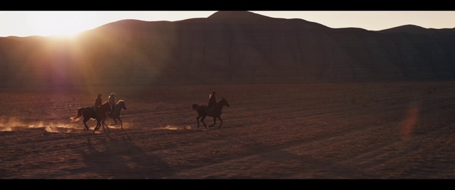 Video Reference: Desert, Natural environment, Horse, Ecoregion, Landscape, Sand, Aeolian landform, Sahara, Sky, Rein