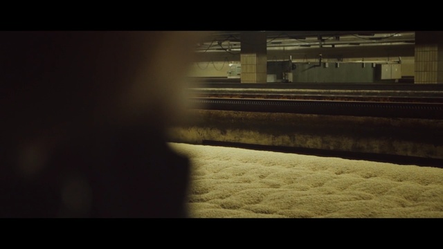 Video Reference: Black, Light, Sky, Darkness, Brown, Atmosphere, Morning, Snapshot, Line, Sunlight