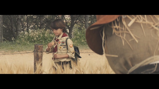 Video Reference: screenshot, girl, human, human behavior, sunlight, grass, tree, grass family, fun, Person