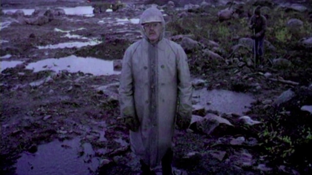 Video Reference: Adaptation, Soil, Geological phenomenon, Mud, Forest