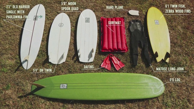 Video Reference: Surfing Equipment, Surfboard, Longboard, Surfing, Surface water sports, Sports equipment, Plant, Skateboard, Boardsport, Person
