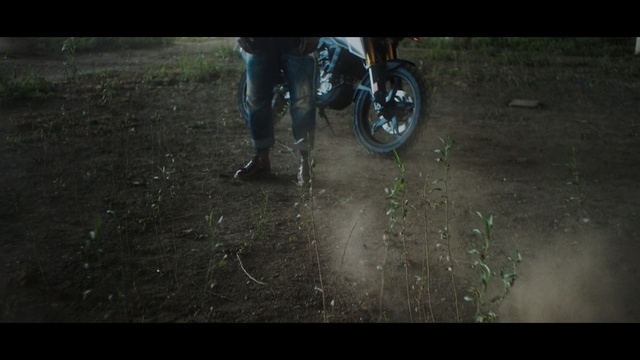 Video Reference: nature, tree, mode of transport, soil, extreme sport, light, freeride, cycle sport, vehicle, grass
