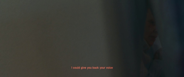 Video Reference: Black, Green, Text, Brown, Font, Darkness, Sky, Logo