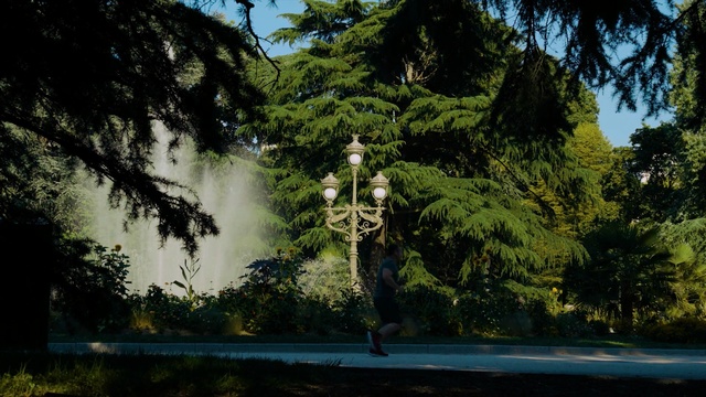 Video Reference: nature, tree, water, plant, sky, reflection, biome, forest, water feature, grass, Person