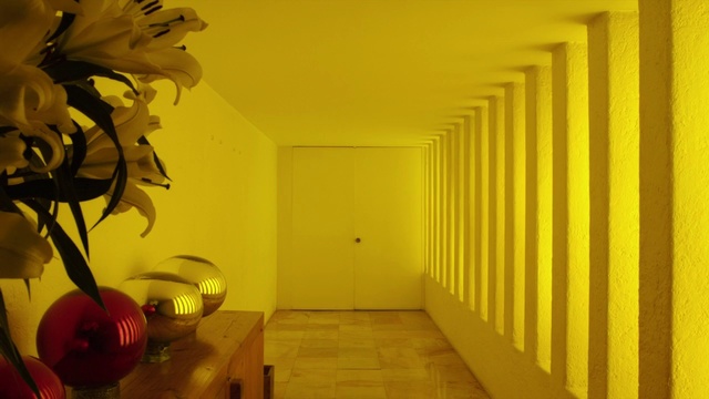 Video Reference: Yellow, Room, Architecture, Plant, Flower, Interior design, Building, House