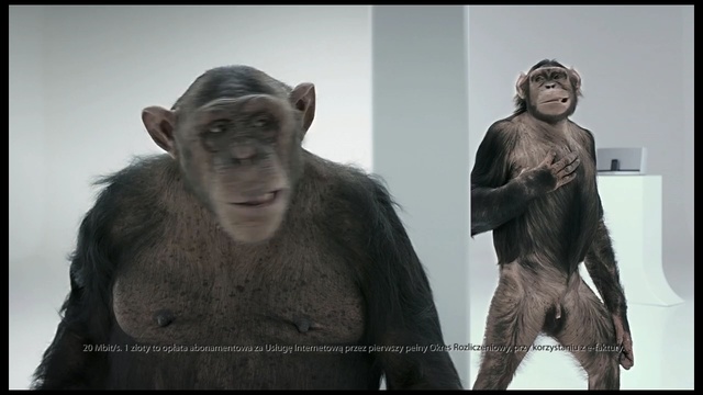Video Reference: Primate, Common chimpanzee, Human, Snout, Fur, Photo caption, Temple, Fictional character, Old world monkey, Person