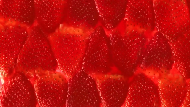 Video Reference: Red, Macro photography, Close-up, Water, Pattern, Plant, Coquelicot, Berry
