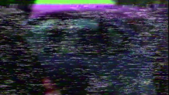 Video Reference: Purple, Water, Green, Nature, Violet, Lavender, Light, Reflection, Lilac, Plant