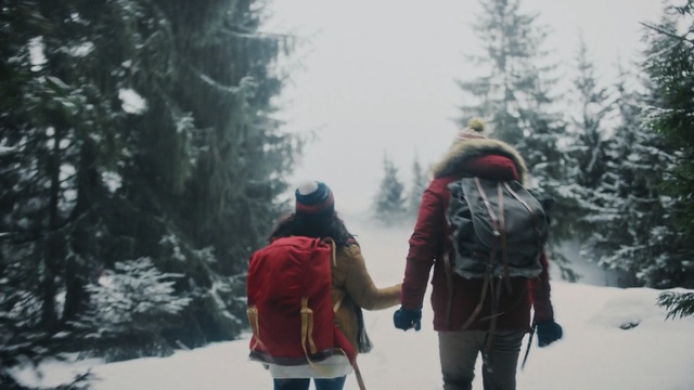 Video Reference: Snow, Winter, Freezing, Footwear, Snowshoe, Tree, Recreation, Fun, Backpacking, Adventure