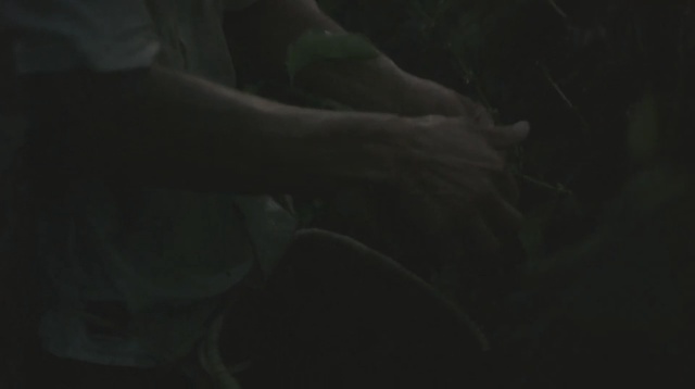 Video Reference: black, underwater, darkness, atmosphere, photography, light, black and white, close up, organism, mouth