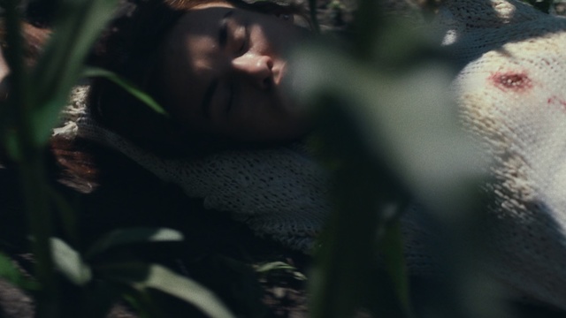 Video Reference: Black, Green, Head, Natural environment, Nose, Eye, Tree, Leaf, Lip, Grass