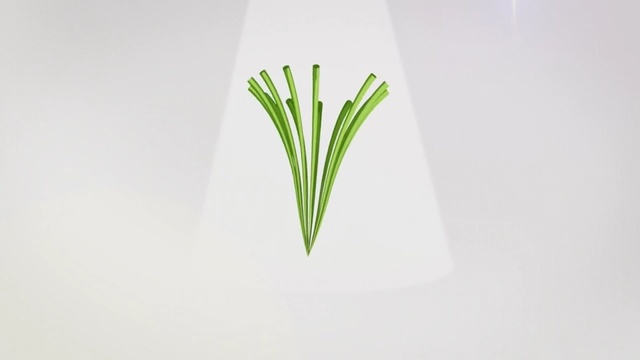 Video Reference: Green, Leaf, Plant, Chives, Botany, Grass, Grass, Welsh onion, Plant stem, Flower, Person