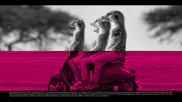 Video Reference: Meerkat, Adaptation, Photography, Organism, Photo caption, Font, Animation, Wildlife, Fun, Stock photography