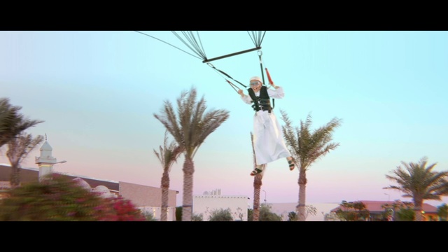 Video Reference: Nature, Tree, Sky, Atmospheric phenomenon, Palm tree, Woody plant, Arecales, Plant, Architecture, Wind