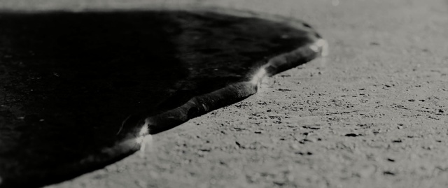 Video Reference: black, black and white, monochrome photography, close up, water, photography, monochrome, macro photography, organism, snout