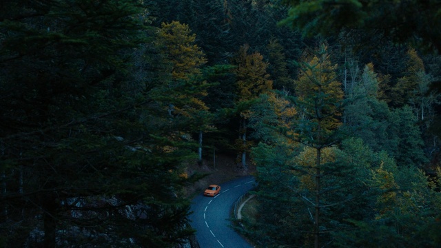 Video Reference: Nature, Green, Tree, Natural landscape, Natural environment, Forest, Biome, Nature reserve, Jungle, Leaf