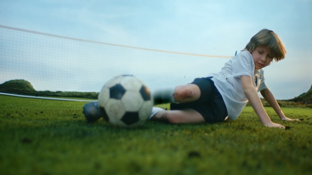 Video Reference: Soccer ball, Football, Ball, Soccer, Football player, Grass, Player, Pallone, Soccer kick, Team sport