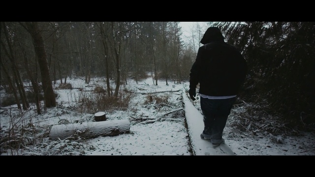 Video Reference: photograph, nature, tree, snow, winter, freezing, woody plant, water, darkness, forest